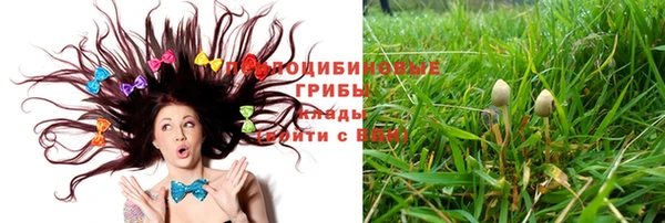 MDMA Premium VHQ Карпинск